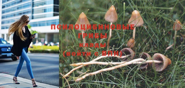 круглые Алексин