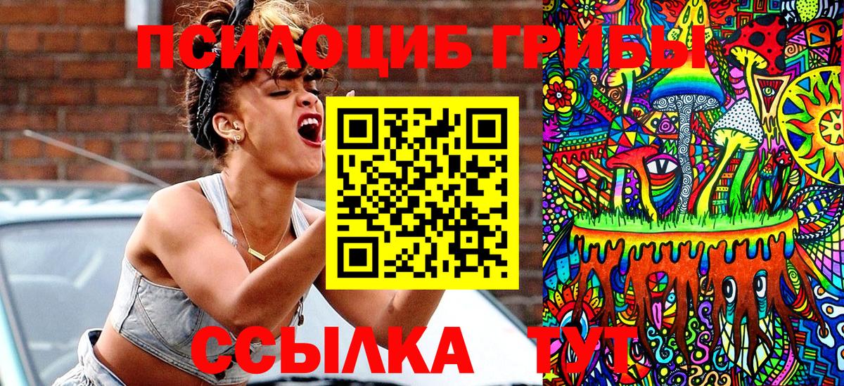 Галлюциногенные грибы Cubensis  Псилоцибиновые грибы ЛСД  Вход с VPN  Алатырь 