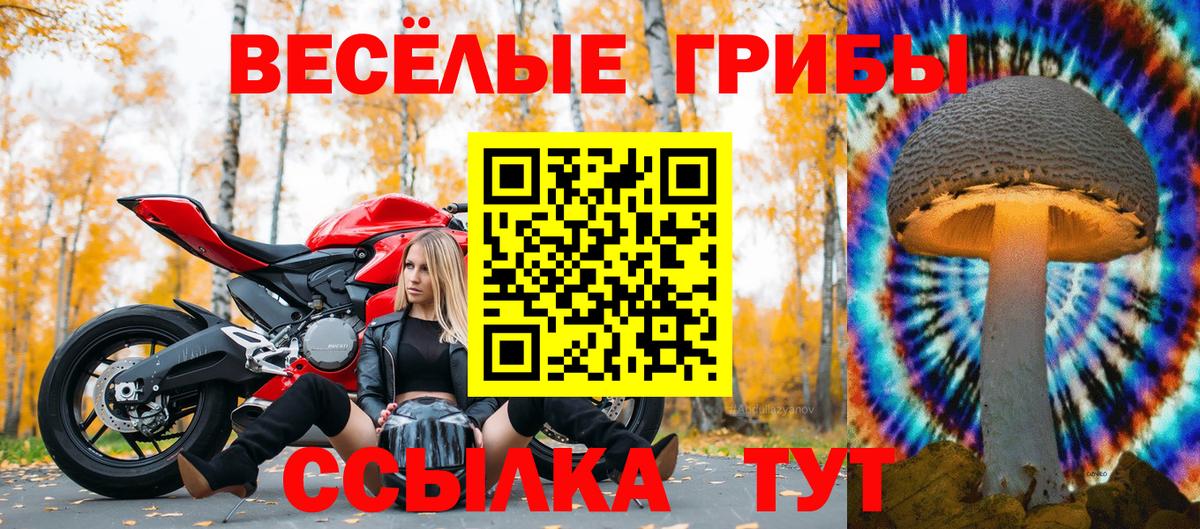 Галлюциногенные грибы MAGIC MUSHROOMS Алатырь